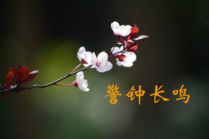 警鐘長(zhǎng)鳴.jpg