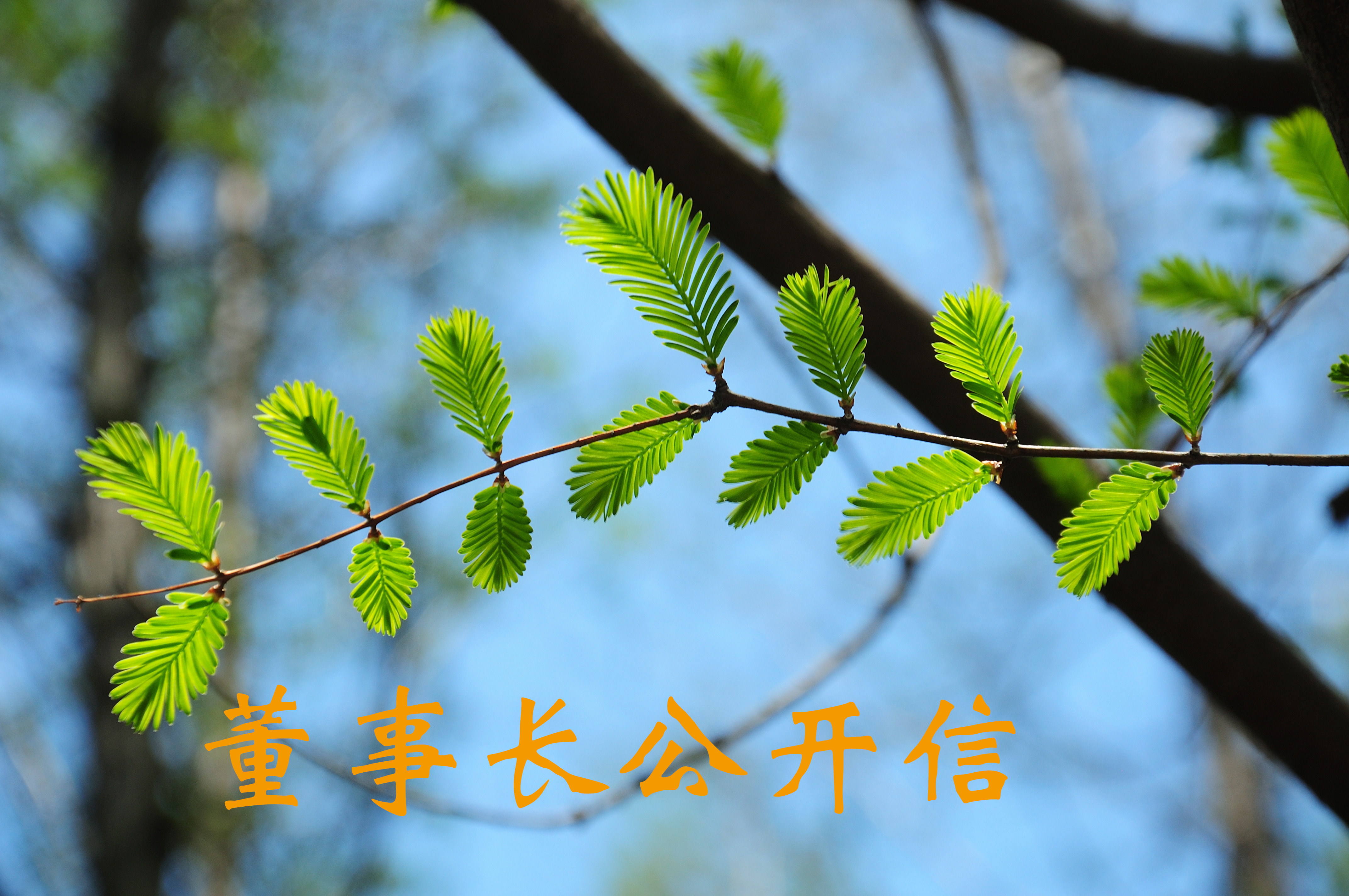 董事長(zhǎng)公開(kāi)信720x480.jpg